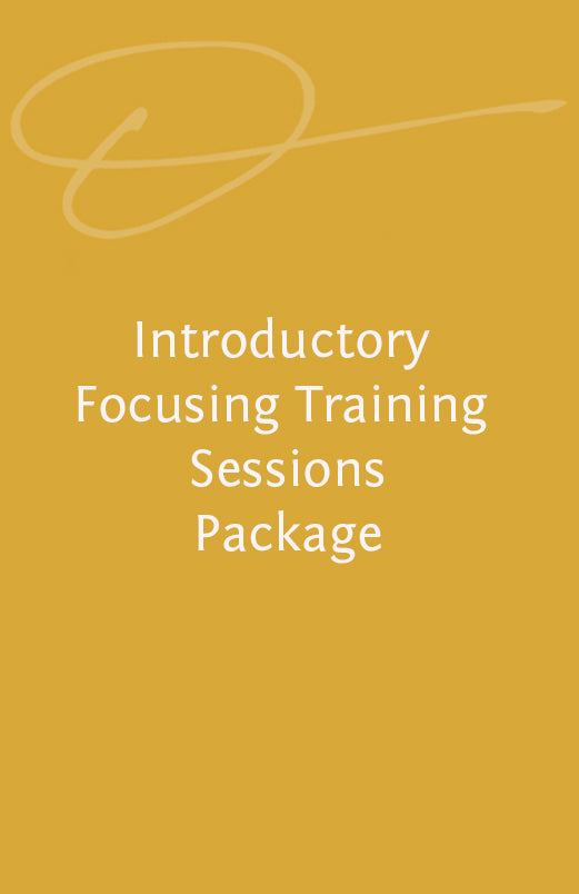 Introductory Focusing Training Sessions Package The International