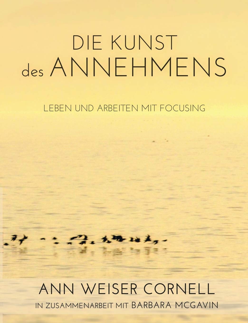 Die Kunst des Annehmens: Leben und Arbeiten mit Focusing