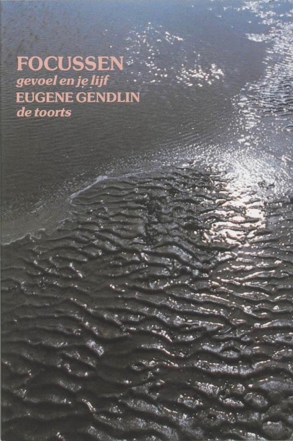 Focussen (Focusing - Dutch translation)