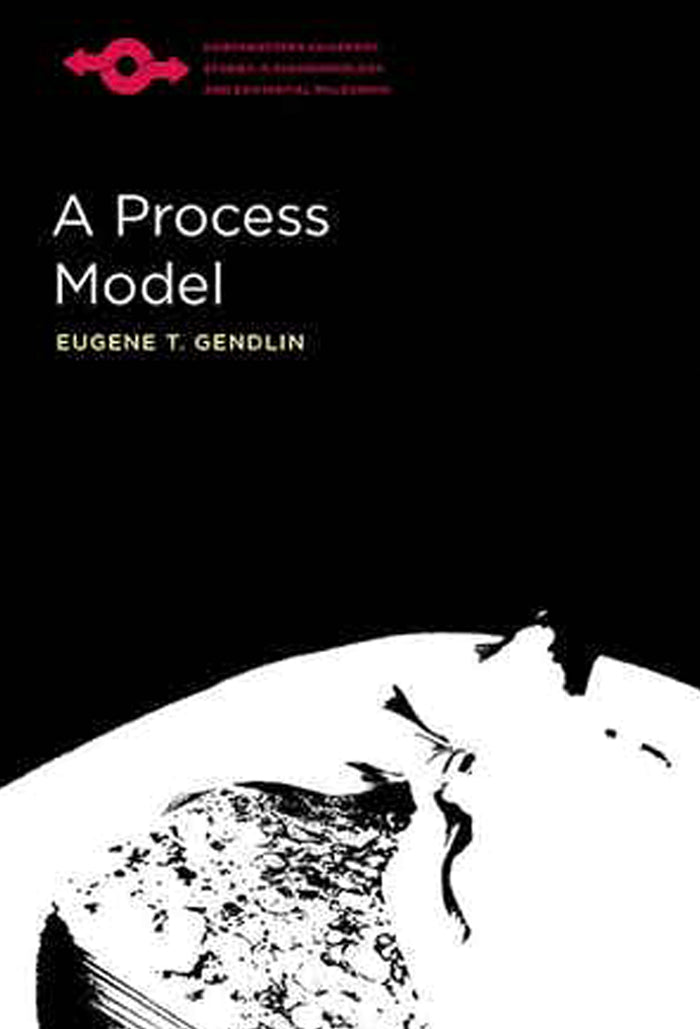 A Process Model – The International Focusing Institute Store