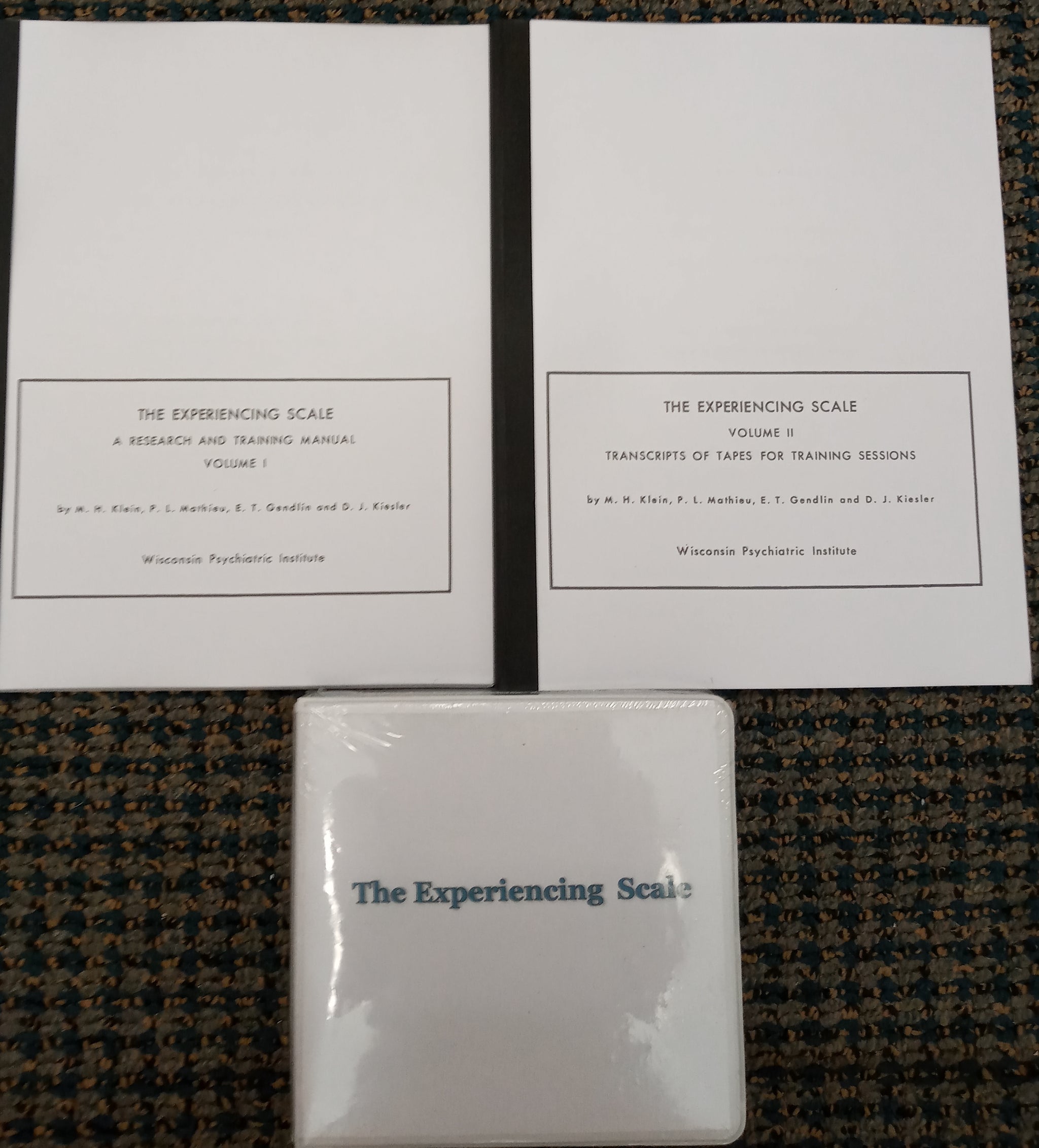 The Experiencing Scale: A Research and Training Manual – The