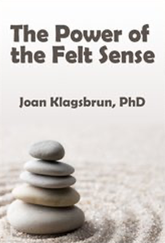 Felt Sense Language Pdf The Power of the Felt Sense – The International Focusing Institute Store